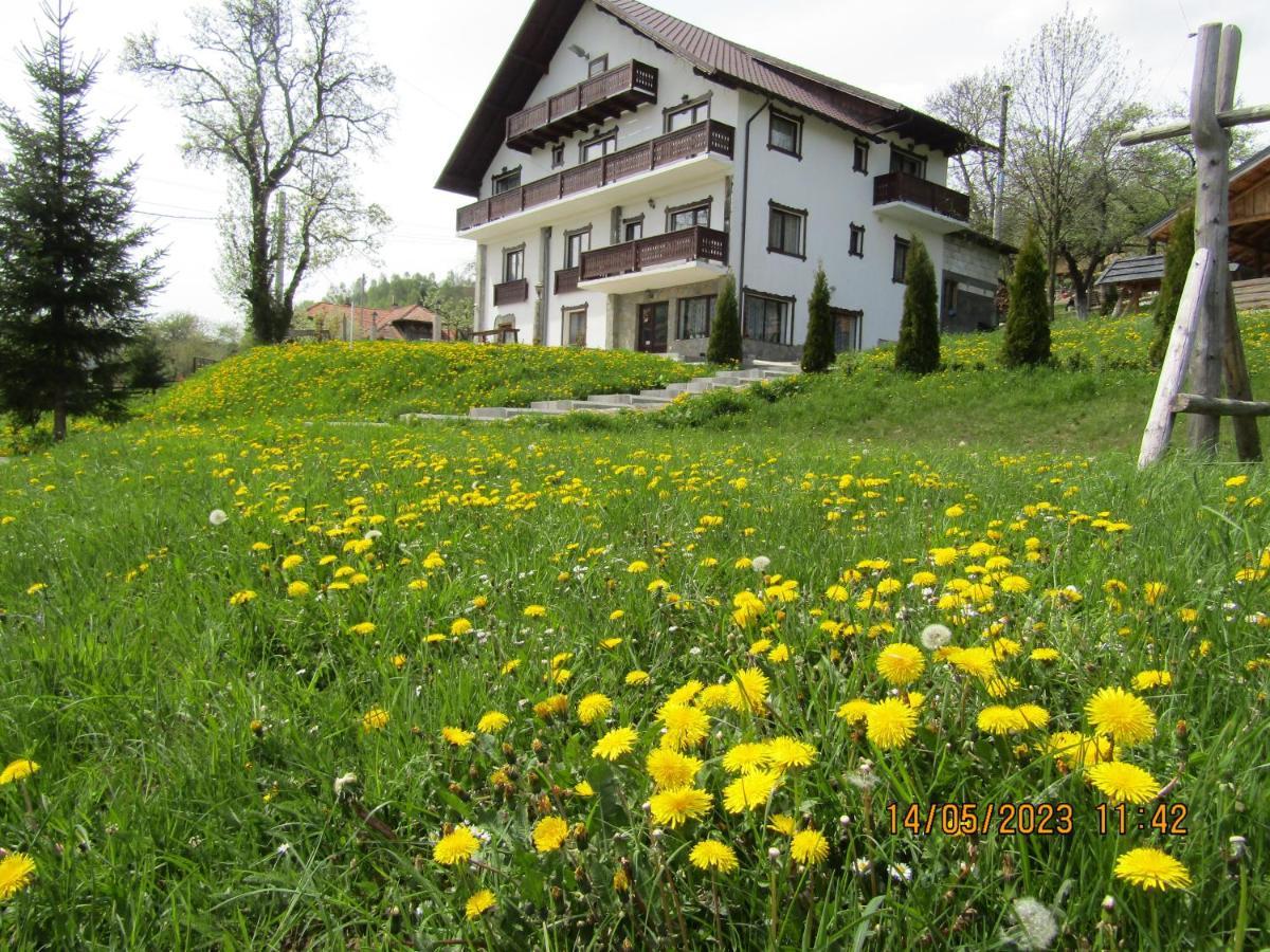 Villa Ograda De La Munte Bran  Exterior foto